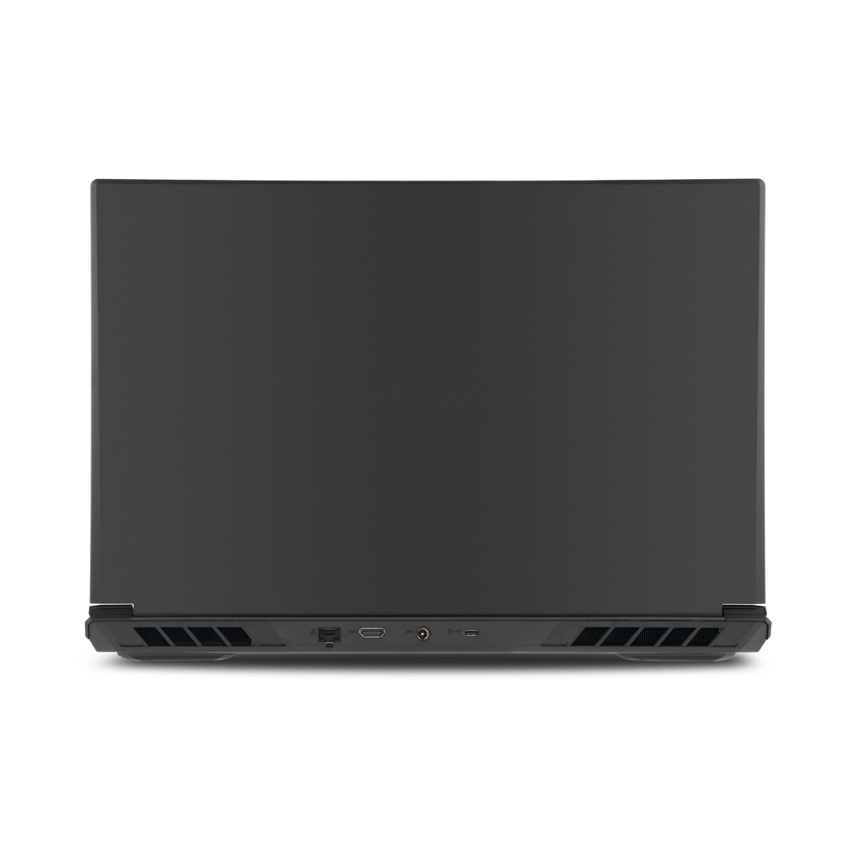 https://surfthing.com/cdn/shop/files/6.Back.png?v=1753981607