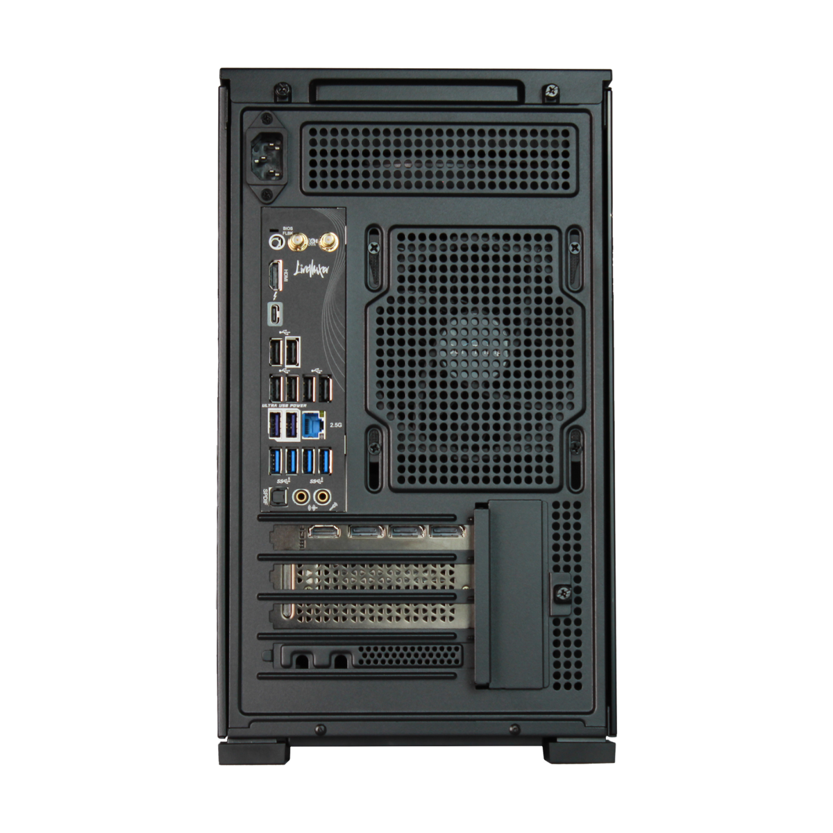 https://surfthing.com/cdn/shop/files/BackInputs.png