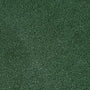 Premium np45 putting turf