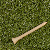 https://shop.carlofet.com/media/wysiwyg/product-marketing/fiberbuilt-pps-turf.jpg